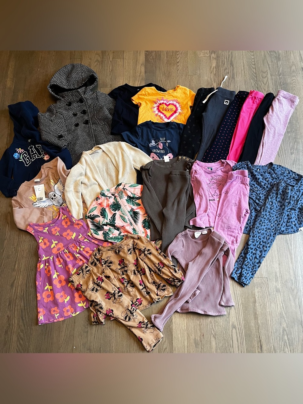 25 item 2T girls lot